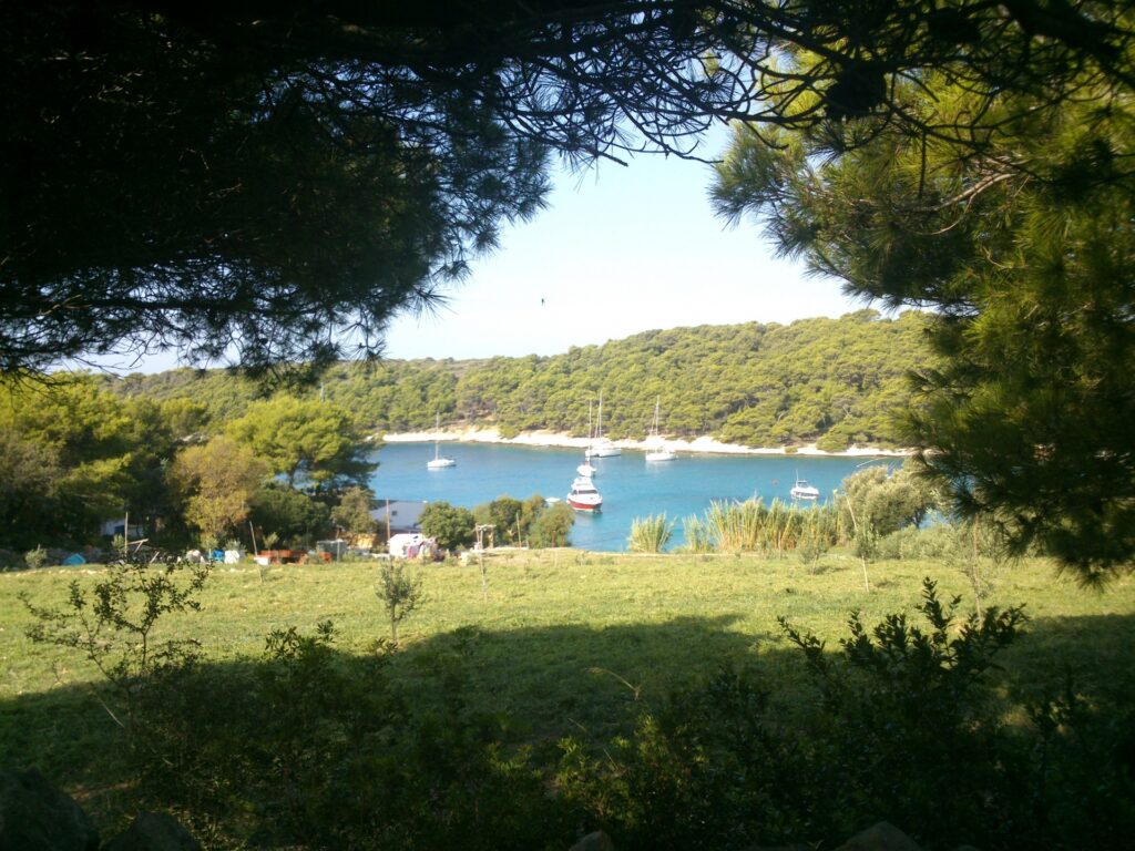 Palmizana