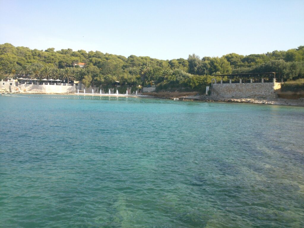 Palmizana
