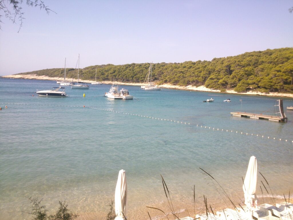 Palmizana